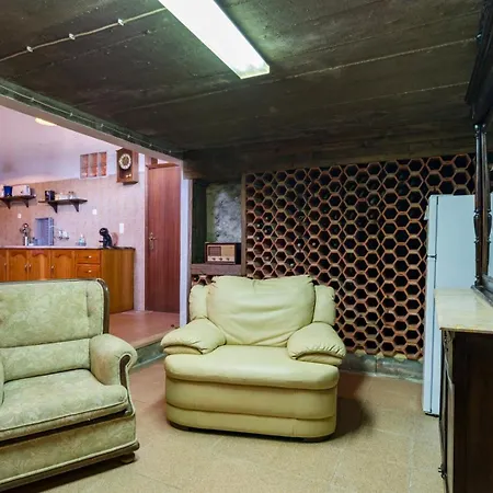 Time-traveler's Paradise In Gois Juncal (Leiria)
