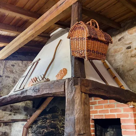 Time-traveler's Paradise In Gois Guest house