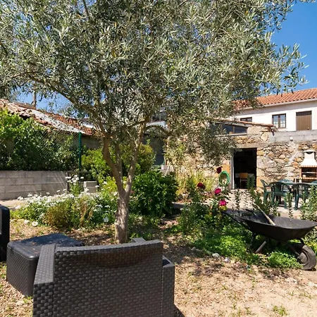 Time-traveler's Paradise In Gois 4*